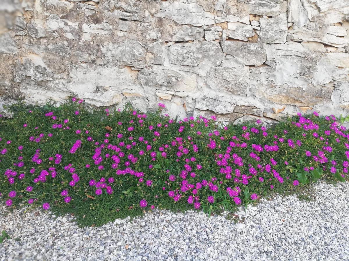 Bed & Breakfast Barbara Borgo Grotta Gigante Εξωτερικό φωτογραφία