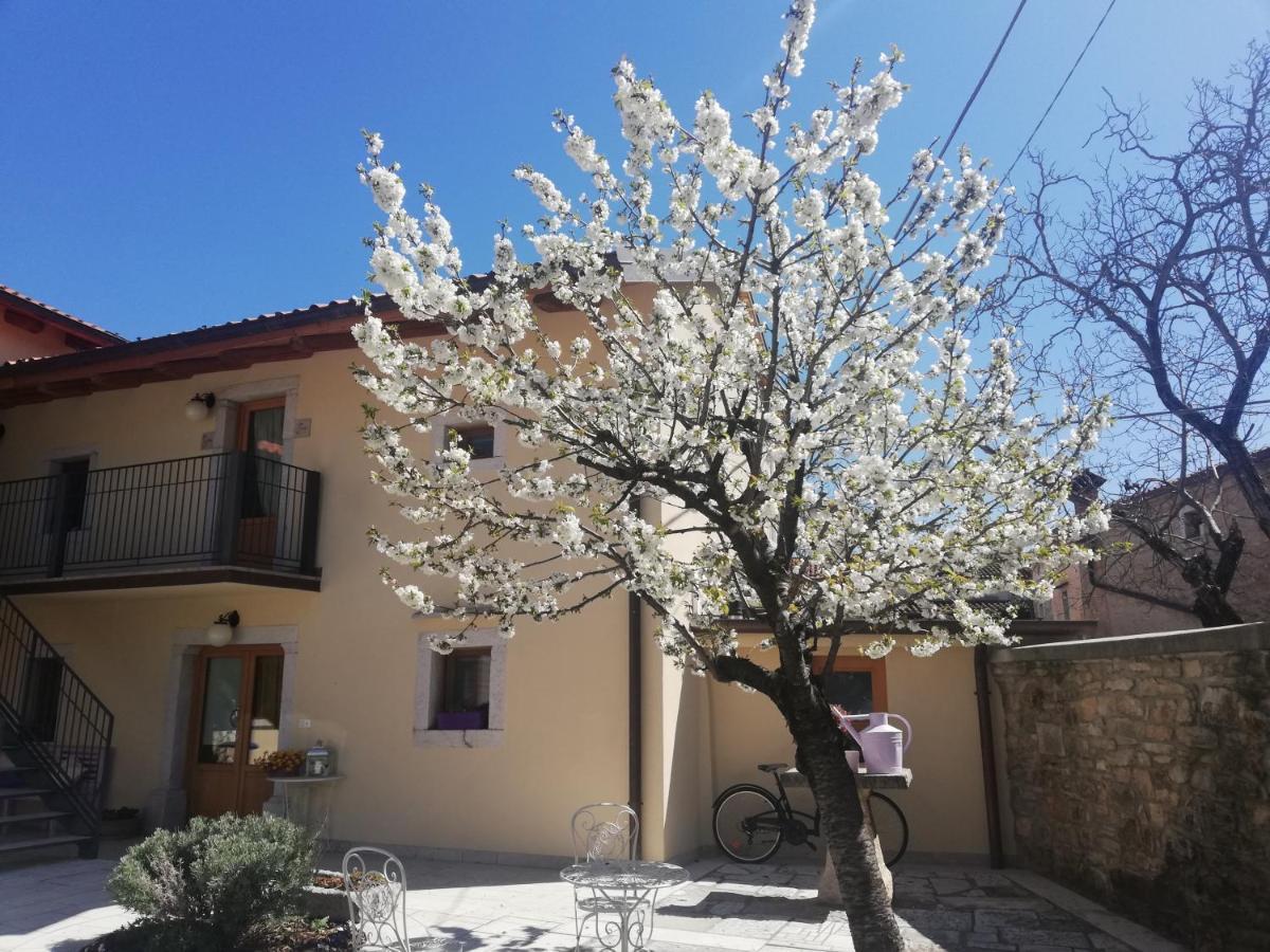 Bed & Breakfast Barbara Borgo Grotta Gigante Εξωτερικό φωτογραφία